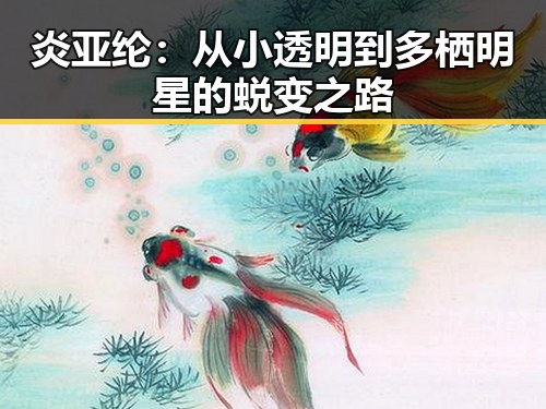 炎亚纶：从小透明到多栖明星的蜕变之路