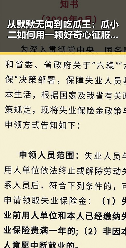 从默默无闻到吃瓜王：瓜小二如何用一颗好奇心征服娱乐圈？🤔