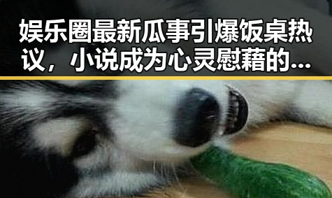 娱乐圈最新瓜事引爆饭桌热议，小说成为心灵慰藉的新宠