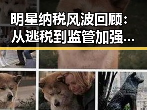明星纳税风波回顾：从逃税到监管加强的全过程